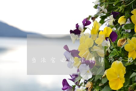 当法官必须注销律师资格证 当法官必须注销律师资格证