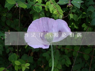 当法律与辩论相遇 当法律与辩论相遇