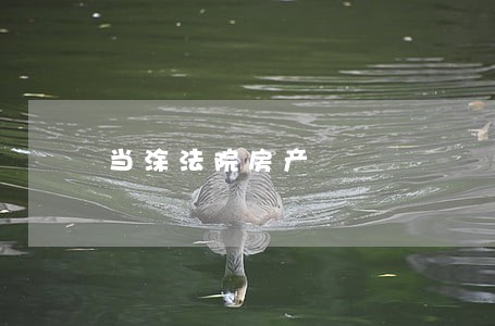 当涂法院房产 当涂法院房产
