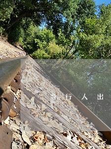 当行人出现交通安全违法行为时