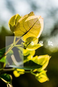 当贷款本金或利息逾期90时 当贷款本金或利息逾期90时