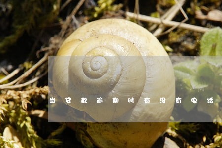 当贷款逾期时有没有电话通知 当贷款逾期时有没有电话通知