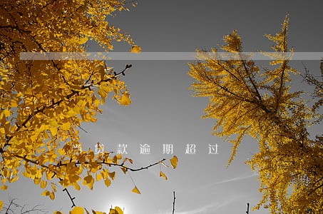 当贷款逾期超过 当贷款逾期超过