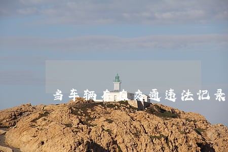 当车辆存在交通违法记录时 当车辆存在交通违法记录时