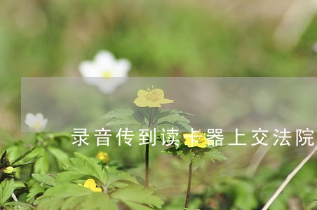 录音传到读卡器上交法院可以吗