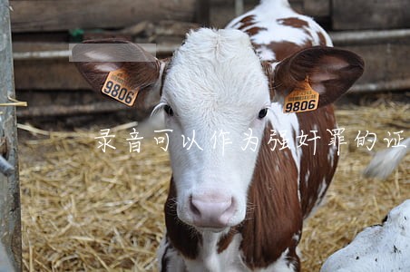 录音可以作为强奸罪的证据吗