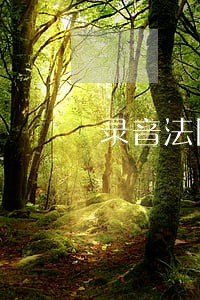 录音法院能作为证据吗 录音法院能作为证据吗