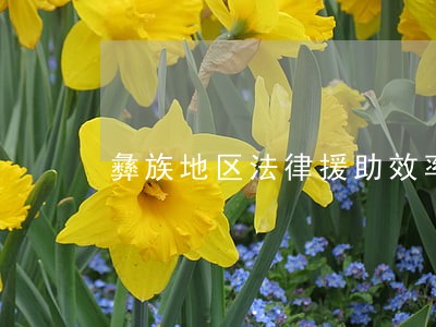 彝族地区法律援助效率 彝族地区法律援助效率