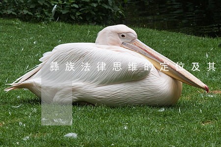 彝族法律思维的定位及其价值 彝族法律思维的定位及其价值
