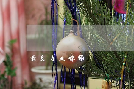 彝良专业律师 彝良专业律师