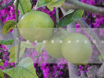 彝良领秀房地产公司法定代表 彝良领秀房地产公司法定代表