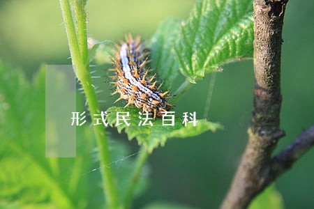 形式民法百科