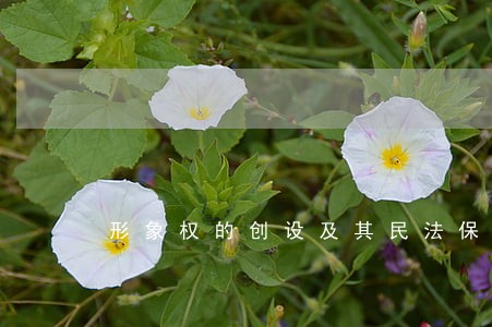 形象权的创设及其民法保护 形象权的创设及其民法保护