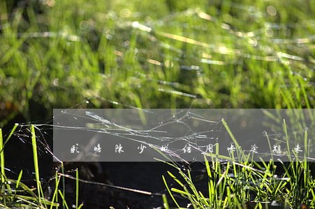 彩塘陈少彬信用卡逾期未还黑名单 彩塘陈少彬信用卡逾期未还黑名单