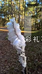 彩礼不退离婚协议上怎么写 彩礼不退离婚协议上怎么写