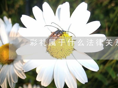 彩礼属于什么法律关系 彩礼属于什么法律关系