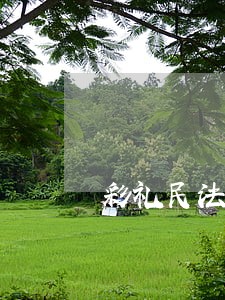 彩礼民法典规定2021 彩礼民法典规定2021
