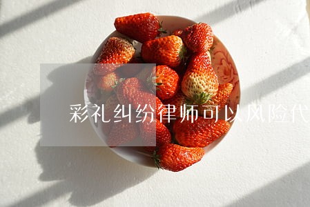 彩礼纠纷律师可以风险代理 彩礼纠纷律师可以风险代理
