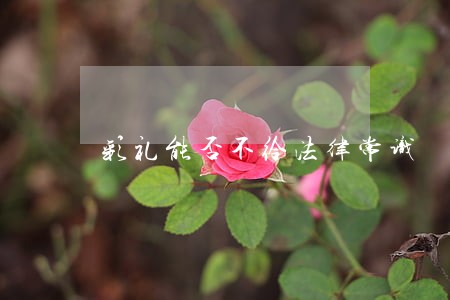 彩礼能否不给法律常识 彩礼能否不给法律常识