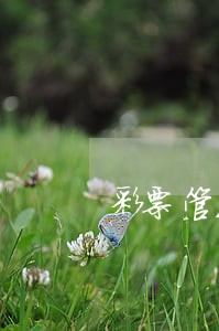 彩票管理条例是法律还是法规