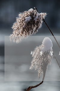 彩票管理需真正法制化 彩票管理需真正法制化