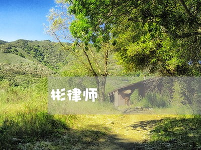 彬律师 彬律师