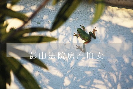 彭山法院房产拍卖