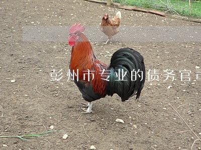彭州市专业的债务官司律师 彭州市专业的债务官司律师
