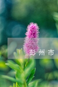 彭州市口碑好的债务律师费用 彭州市口碑好的债务律师费用