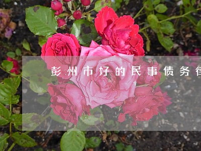 彭州市好的民事债务律师咨询热线 彭州市好的民事债务律师咨询热线