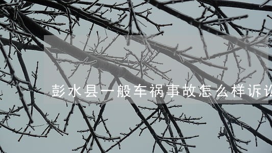 彭水县一般车祸事故怎么样诉讼 彭水县一般车祸事故怎么样诉讼