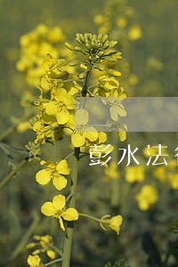 彭水法律调查 彭水法律调查