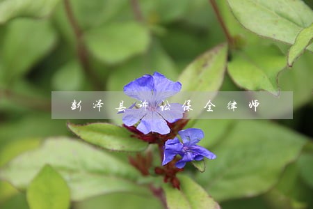 彭泽县诉讼保全律师 彭泽县诉讼保全律师