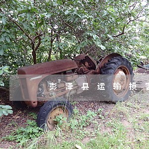 彭泽县运输损害律师在线咨询 彭泽县运输损害律师在线咨询