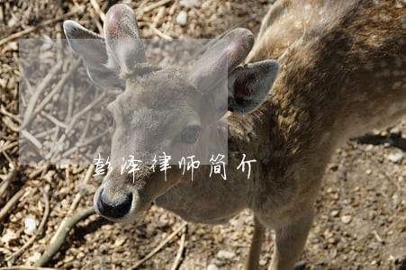 彭泽律师简介 彭泽律师简介