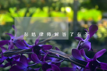 彭皓律师解答了在不 彭皓律师解答了在不