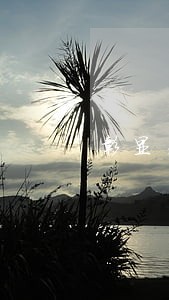 彰显关爱