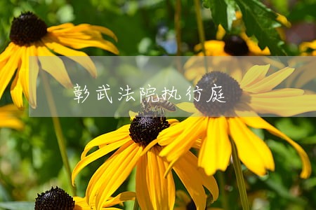 彰武法院执行庭 彰武法院执行庭