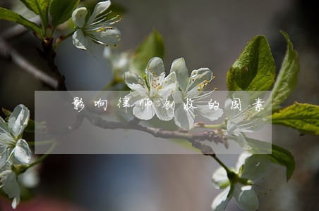 影响律师创收的因素 影响律师创收的因素