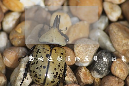 影响法律援助质量的因素 影响法律援助质量的因素