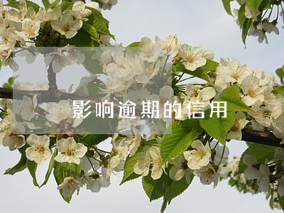 影响逾期的信用 影响逾期的信用