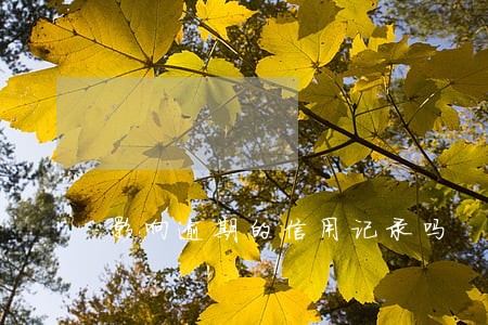 影响逾期的信用记录吗 影响逾期的信用记录吗