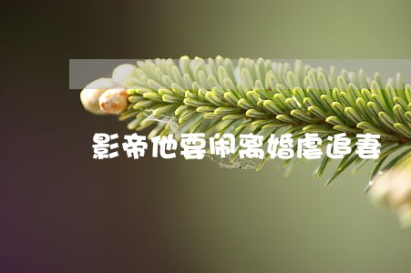 影帝他要闹离婚虐追妻 影帝他要闹离婚虐追妻