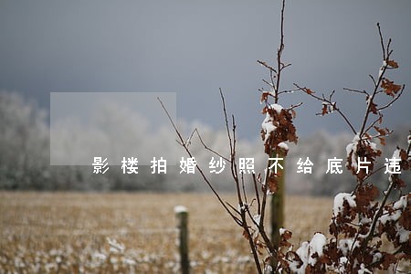 影楼拍婚纱照不给底片违法吗