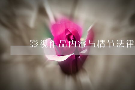 影视作品内容与情节法律顾问指引 影视作品内容与情节法律顾问指引