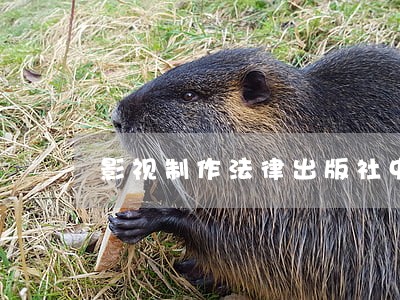 影视制作法律出版社中国 影视制作法律出版社中国