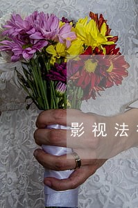 影视法律顾问是什么专业 影视法律顾问是什么专业