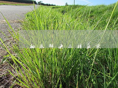 彻底解决二楼反水 彻底解决二楼反水