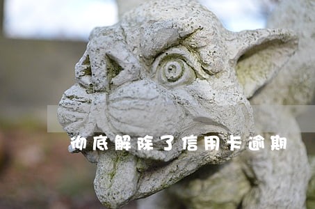 彻底解除了信用卡逾期 彻底解除了信用卡逾期