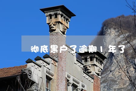 彻底黑户了逾期1年了 彻底黑户了逾期1年了